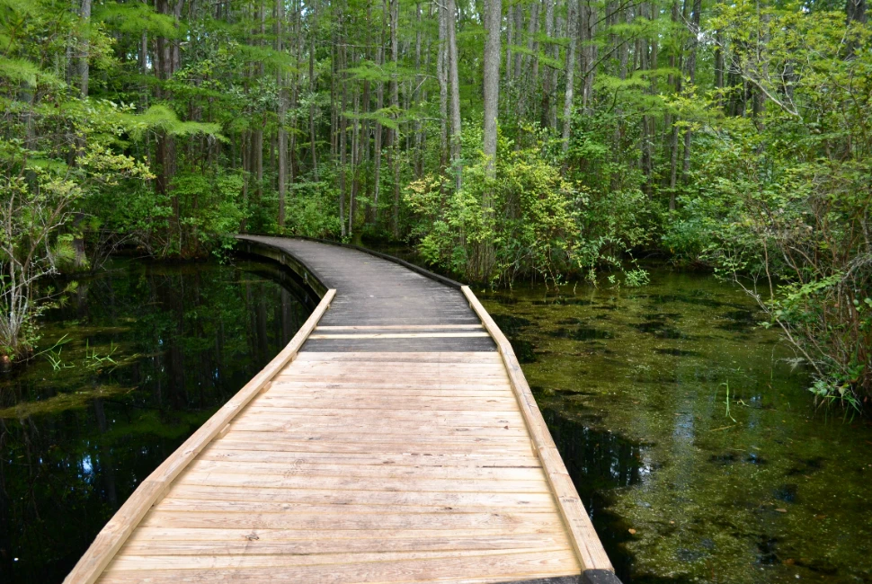 Outdoor Adventures: Discovering Nature in Union City